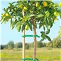 Connex FLOR78735 Lien pour Arbres avec Revêtement Mousse 10 m