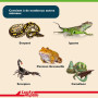 Lucky Reptile 65131 Tortoise Bedding 20 l, Terreau pour tortues terrestres