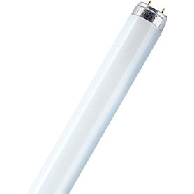 Osram L 18 W Lampe fluorescente 840 25 Pieces