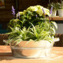 Bassine à Glace