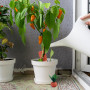 pour intérieur & extérieur
