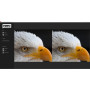 Nero Platinum Unlimited | Boîte de détail avec CD | Édition vidéo | Gérer et lire les médias | Intelligence artificielle | 8K | 