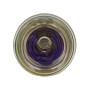 azurano lampe de projecteur BLB24 Remplacement de OSRAM PVIP 240/0.8 E20.9N Lampe de rechange pour divers projecteurs, 240W