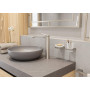 hansgrohe AddStoris 41772820 Porte-rouleau de papier toilette en nickel brossé avec étagère
