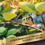 GRÜNTEK Sécateur de Jardin avec Étui en Cuir Véritable. Outil de Jardin professionnel. Idée Cadeaux Homme. Poignée Ergonomique e