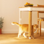 Navaris Tapis griffoir Chat - Protection Table canapé Meuble Sol Mur - Tapis en sisal 60 x 25 cm avec Crochets adapté pour Chato