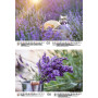 Calendrier DIN A4 pour 2025 Lavande Provence France – Kit : 1 calendrier, 1 pendentif de Noël, 1 étiquette de vœux (3 pièces au 
