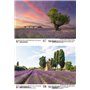 Calendrier DIN A4 pour 2025 Lavande Provence France – Kit : 1 calendrier, 1 pendentif de Noël, 1 étiquette de vœux (3 pièces au 