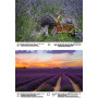Calendrier DIN A4 pour 2025 Lavande Provence France – Kit : 1 calendrier, 1 pendentif de Noël, 1 étiquette de vœux (3 pièces au 