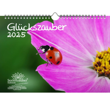 Glückszauber Calendrier DIN A4 pour 2025 Trèfle à cochon porte-bonheur – Contenu : 1 calendrier