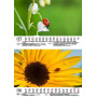 Glückszauber Calendrier mural DIN A5 pour le bonheur de Provence 2025 – Coffret cadeau Contenu : 1 calendrier, 1 pendentif de No