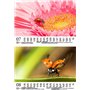 Glückszauber Calendrier mural DIN A5 pour le bonheur de Provence 2025 – Coffret cadeau Contenu : 1 calendrier, 1 pendentif de No