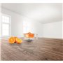 Bosch Electroménager MUZ5ZP1 Presse-agrumes transparent avec cône orange Compatible avec robots culinaires série MUM5