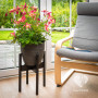 Rubberneck Support de Plantes en Bambou - Support pour Pots de Fleurs Réglable en Bambou - pour l'Intérieur et l'Extérieur - Noi