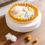 MCE-Commerce Torten Dummy Disque en polystyrène, Blanc, Kreis ø 25 cm, H 5cm