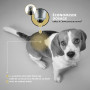 Peticare Set Soin pour Chien Anti-Démangeaisons Anti-Acariens Anti-Puces Anti-Fongiques - Lotion 100 ML & Shampooing 250 ML, Con