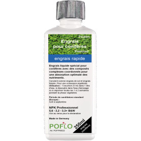 Engrais pour conifères. Fertilisez les sapins
