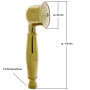 Pommeau de douche rétro avec flexible et support de douche en laiton avec surface dorée