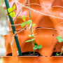 Toboli Lot de 10x Tuteurs Plantes – Ø 11 x 1200 mm – en Vert – en Métal – Support de Légumes Fleurs grimpantes – Piquets Attache