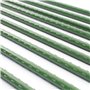 Toboli Lot de 10x Tuteurs Plantes – Ø 11 x 1200 mm – en Vert – en Métal – Support de Légumes Fleurs grimpantes – Piquets Attache