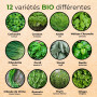 herbes de cuisine et de jardin
