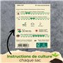 Set de graines de légumes BIO - 12 sortes de graines de légumes issues de l'agriculture biologique, graines résistantes aux grai