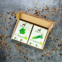 Set de graines de légumes BIO - 12 sortes de graines de légumes issues de l'agriculture biologique, graines résistantes aux grai
