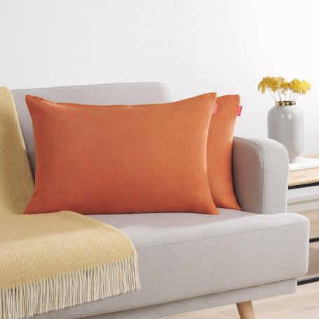 Blumtal Housse de Coussin 40x60 cm canape - Lot de 2 - Housse Coussin 40x60 cm en Chenille Douce avec Fermeture éclaire cachée -