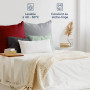 Blumtal Taie Oreiller 65x65 Lot de 2 - Housse de Coussin Microfibre - Taies d'oreillers avec Fermeture enveloppe, certifiée Oeko