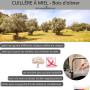 SCHWERTKRONE® Cuillère à Miel 15cm [BOIS D'OLIVIER ARTINASALE] - Haute Qualité Cuillère Miel Bois Olivier - Miel Accessoire - Pr