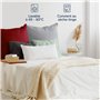 Blumtal Taie Oreiller 50x50 Lot de 2 - Housse de Coussin Microfibre - Taies d'oreillers avec Fermeture éclair, certifiée Oeko-Te