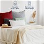 Blumtal Taie Oreiller 60x60 Lot de 2 - Housse de Coussin Microfibre - Taies d'oreillers avec Fermeture enveloppe, certifiée Oeko