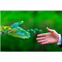 BiOHY Nettoyant pour sols pour robots de nettoyage avec une senteur fraîche de printemps (Bouteille de 1l) | Concentré de nettoy