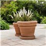 Soucoupe pour pots de fleurs, différentes tailles, terre cuite italienne, entièrement résistante au gel, fabriquée à la main (27
