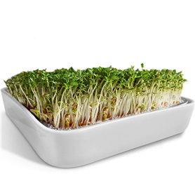 ZELLGUT® Passoire à Cresson