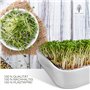 Bac à Germination - 12 cm - Bol en Céramique + Tamis en Acier Inoxydable - Appareil pour la Culture