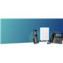 Snom M500 DECT Base Station - Cellule Double Évolutive Jusqu'à 8 Appels Simultanés, Mises À Jour sans Fil, Prend en Charge L