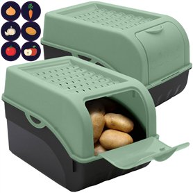 ARTECSIS Lot de 2 Boîtes de Conservation Alimentaire 5L Vert sauge + 6 Stickers/Fruit
