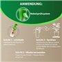 Garten Lux Bio Spray vital pour orchidées avec 16 oligo-éléments pour l'entretien des orchidées - Prêt à l'emploi - 300 ml