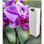 Garten Lux Bio Spray vital pour orchidées avec 16 oligo-éléments pour l'entretien des orchidées - Prêt à l'emploi - 300 ml
