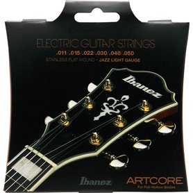 Ibanez IFAS6SL Jeu de cordes pour guitare électrique