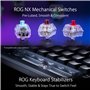ASUS ROG Azoth Clavier de Jeu mécanique sans Fil (Facteur de Forme 75%, commutateurs ROG NX, Touches PBT Doubleshot, écran OLED,