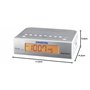 Sangean RCR-5 Radio réveil Digitale Tuner AM/FM Alarme Argent