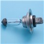 Jufjsfy Voiture Ampoule Lampe Frontale H7(477/499) 12V 55W PX26d Ampoule halogene