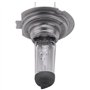 Jufjsfy Voiture Ampoule Lampe Frontale H7(477/499) 12V 55W PX26d Ampoule halogene
