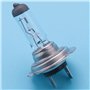 Jufjsfy Voiture Ampoule Lampe Frontale H7(477/499) 12V 55W PX26d Ampoule halogene