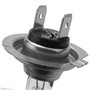 Jufjsfy Voiture Ampoule Lampe Frontale H7(477/499) 12V 55W PX26d Ampoule halogene
