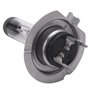 ZEZA Voiture Ampoule Lampe Frontale H7(477/499) 12V 55W PX26d Ampoule halogene