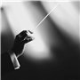 Spactz Baguettes de chef d'orchestre en imitation - Noir