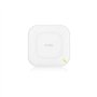 ZyXEL NWA1123-AC v3 C&P Bundle Connect and Protect Bundle